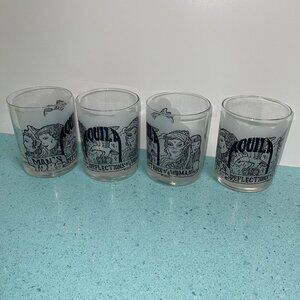 Krewe of Aquilar Vintage Glasses Mardi Gras Mans Reflections of A Woman